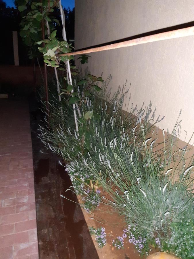 Studio Apartman San 3 Liznjan Luaran gambar