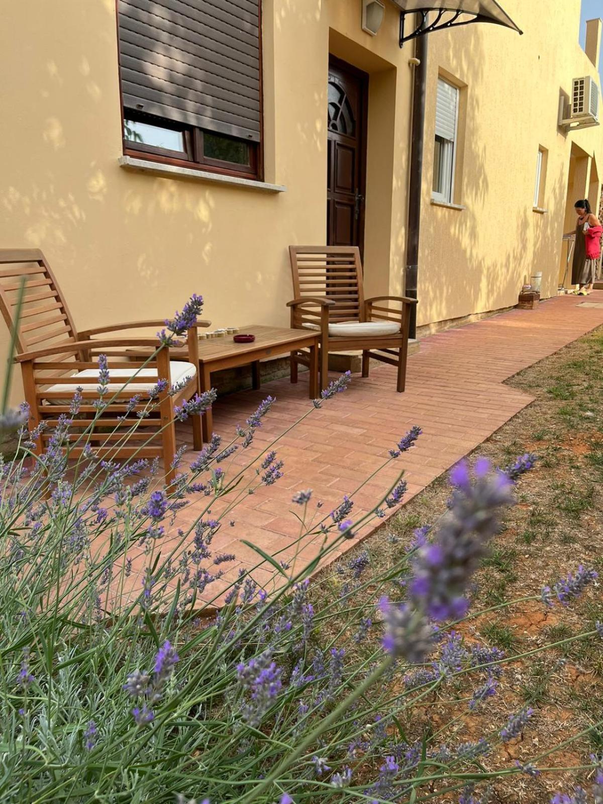Studio Apartman San 3 Liznjan Bilik gambar
